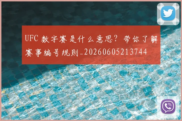 UFC 数字赛是什么意思？带你了解赛事编号规则_20260605213744