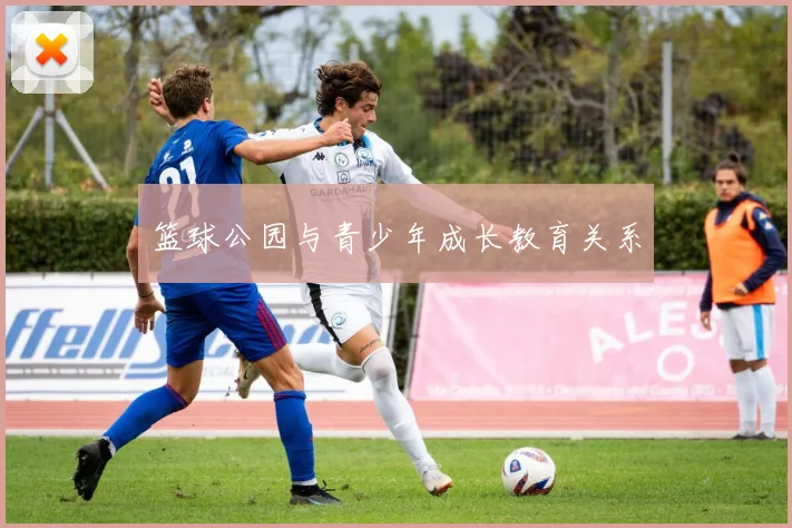 篮球公园与青少年成长教育关系