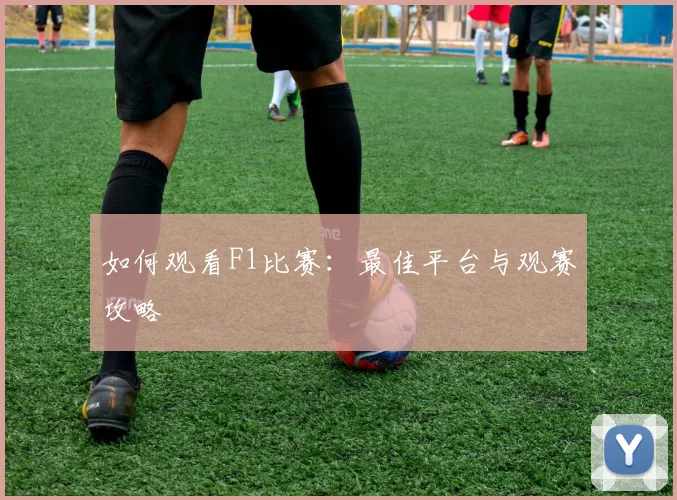 如何观看F1比赛:最佳平台与观赛攻略