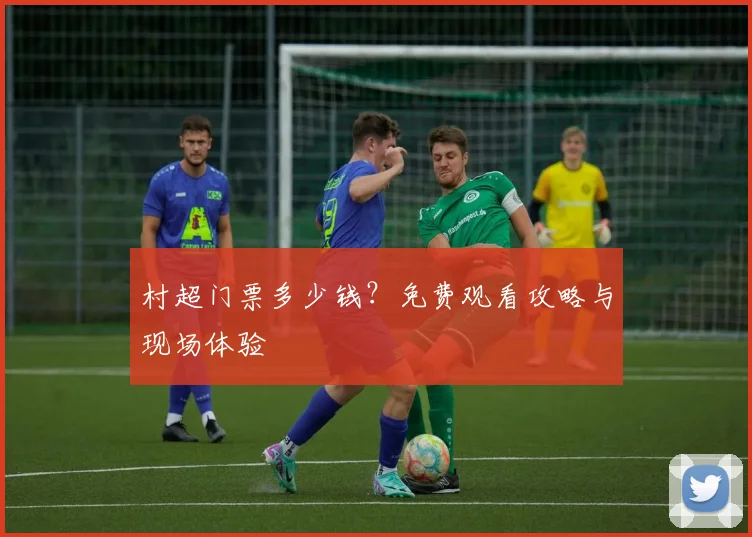 村超门票多少钱？免费观看攻略与现场体验