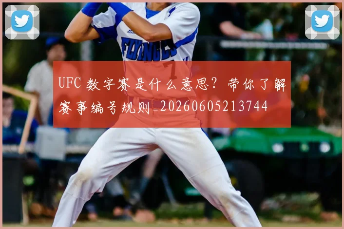 UFC 数字赛是什么意思?带你了解赛事编号规则_20260605213744